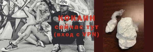 ГАЛЛЮЦИНОГЕННЫЕ ГРИБЫ Абаза