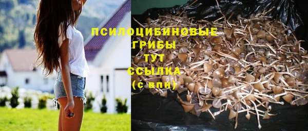 спайс Абдулино