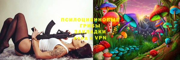 гашик Алексин