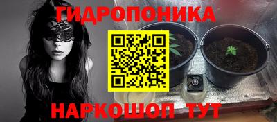 PSILOCYBIN Северобайкальск