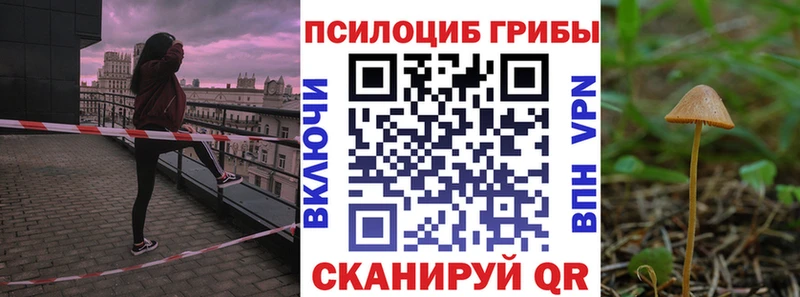 Псилоцибиновые грибы мицелий  ссылка на мегу как зайти  Черногорск 