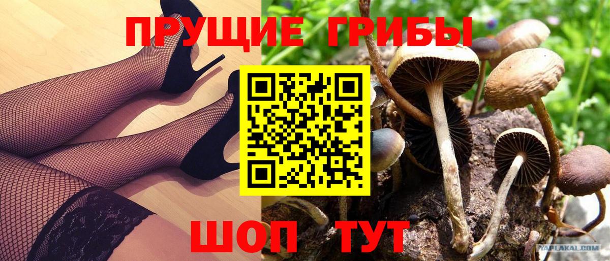 Псилоцибиновые грибы MAGIC MUSHROOMS  Вход с VPN  Черногорск 