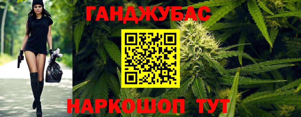 Бошки Шишки план Черногорск